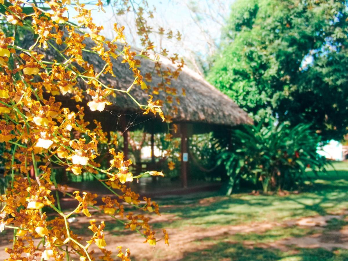 Mana Kai Camping & Cabins San Ignacio Exteriör bild