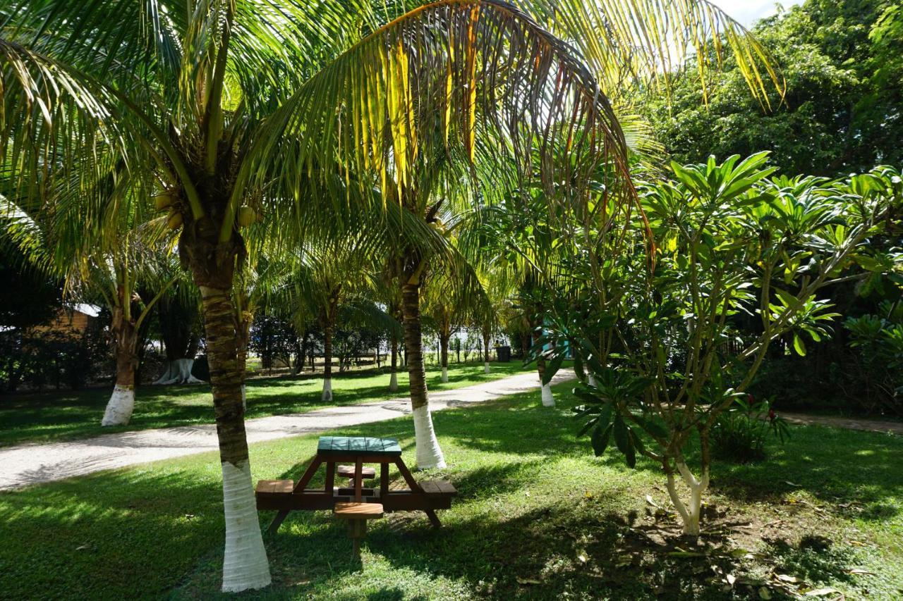 Mana Kai Camping & Cabins San Ignacio Exteriör bild